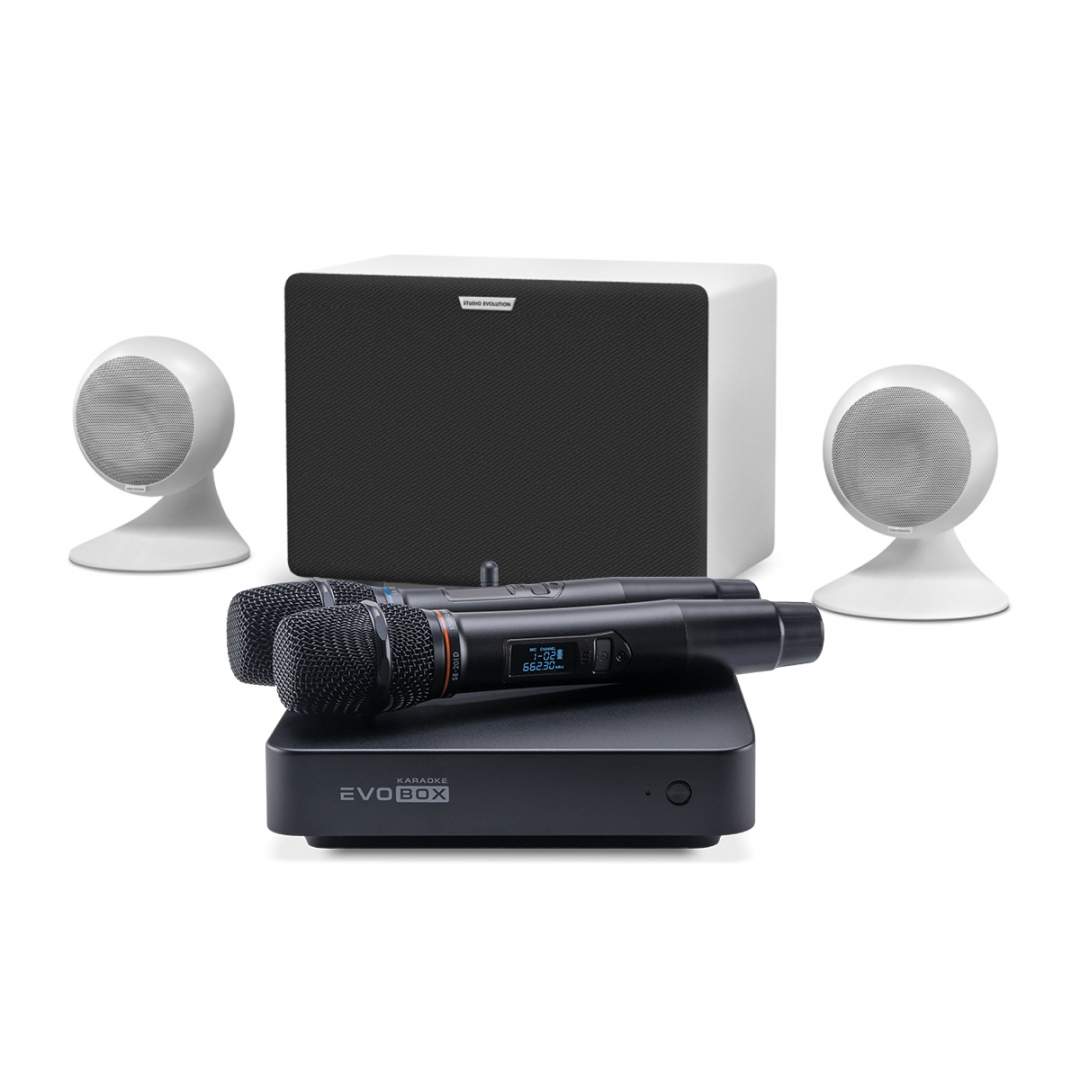 караоке-комплект EVOBOX Classic + EvoSound Sphere 2.1 в Пушкино