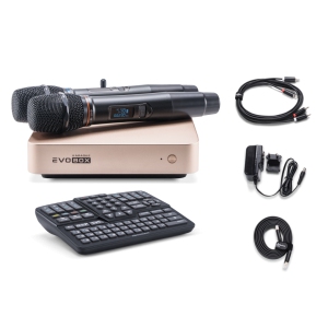 EVOBOX Classic караоке-система для дома в Пушкино