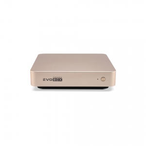 EVOBOX с микрофонами в Пушкино